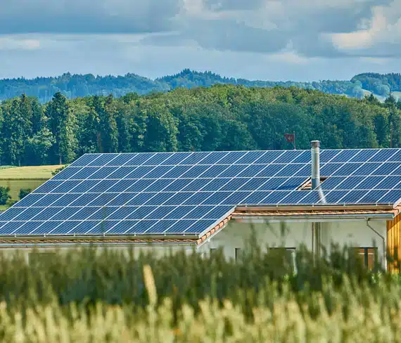 Solar-panels-ground