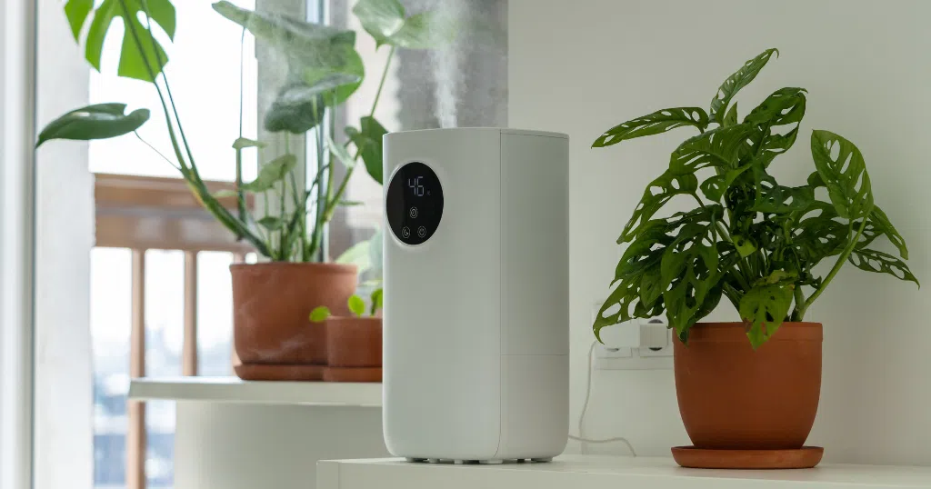 Impact of Indoor Air Quality on Your Health and Comfort